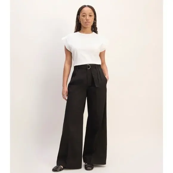NWOT Everlane The Pleated Wide-Leg Chino In Black Size 2 - Picture 1 of 8